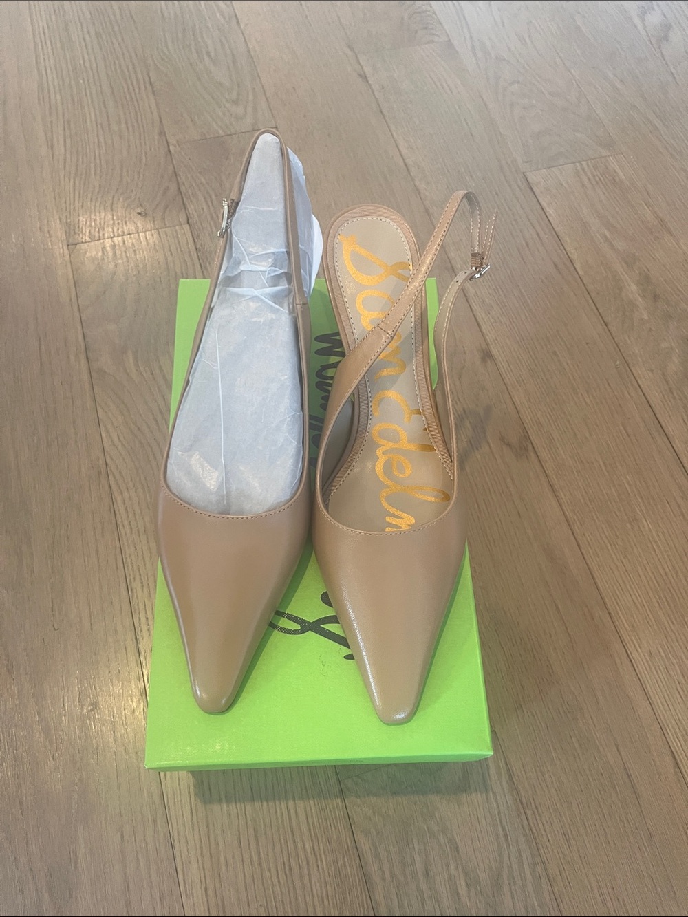 Sam Edelman Nude Leather Pointed-Toe Slingback Pumps